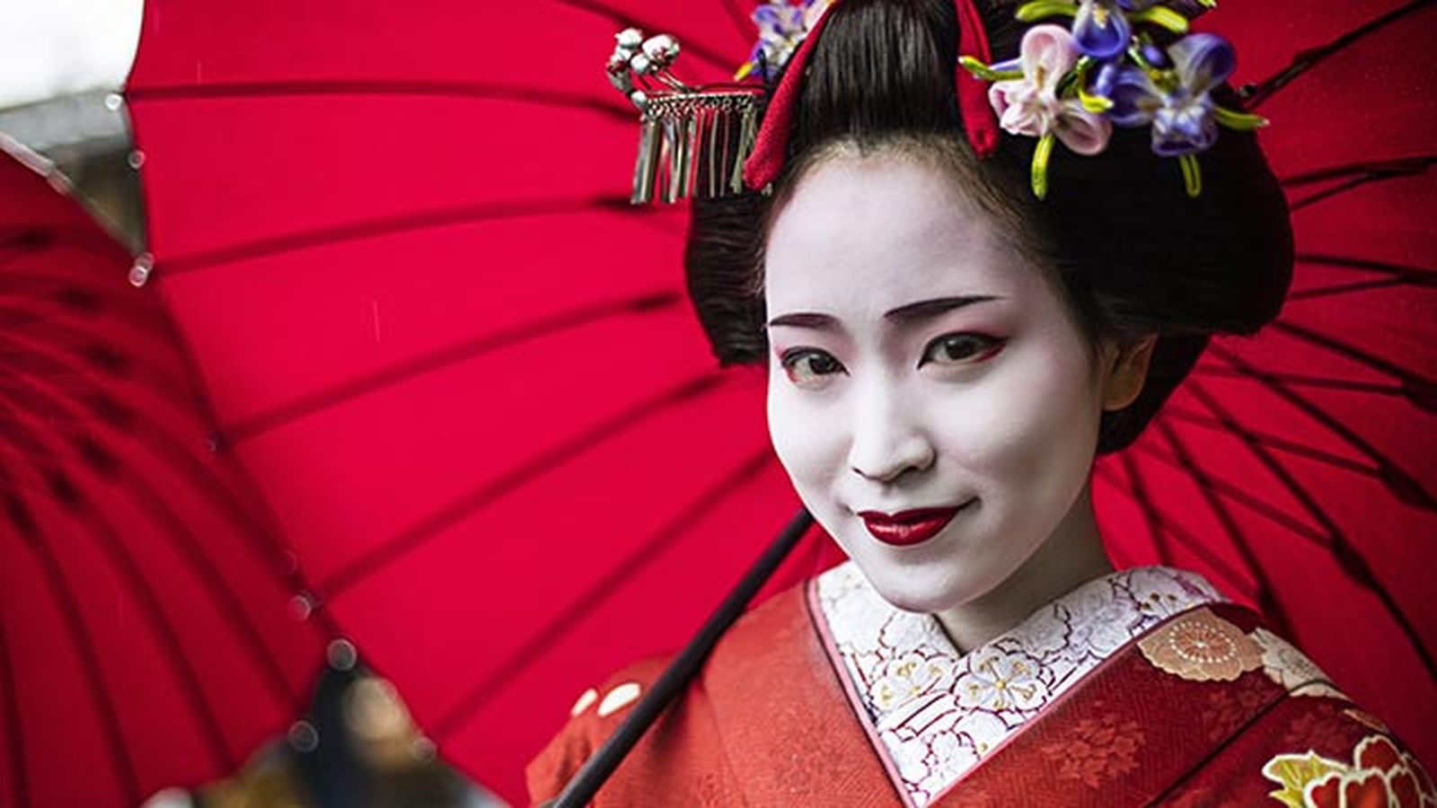 aceite de tsubaki o camelia el secreto mejor guardado de las geishas resultado aceite de tsubaki o camelia el secreto mejor guardado de las geishas resultado