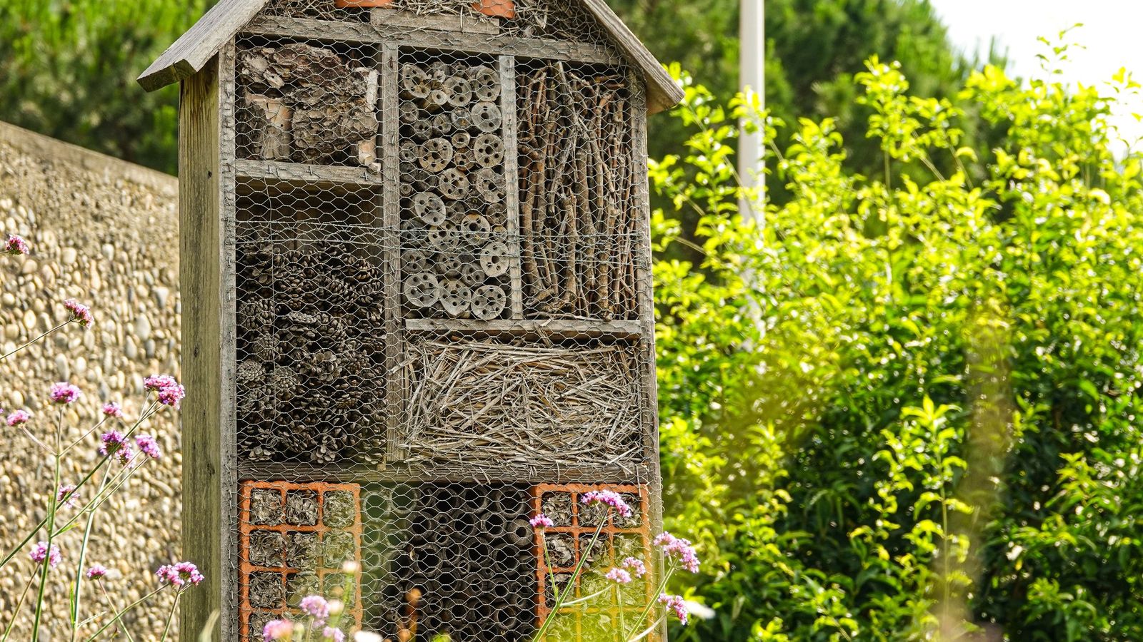 Los insectos pueden ser tus grandes aliados en la protección de tu cosecha