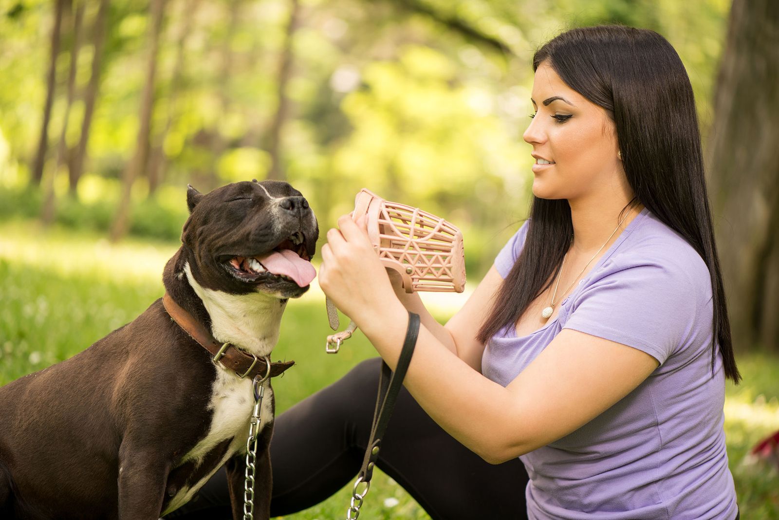 mascotas perros potencialmente peligrosos bozal mascotas perros potencialmente peligrosos bozal