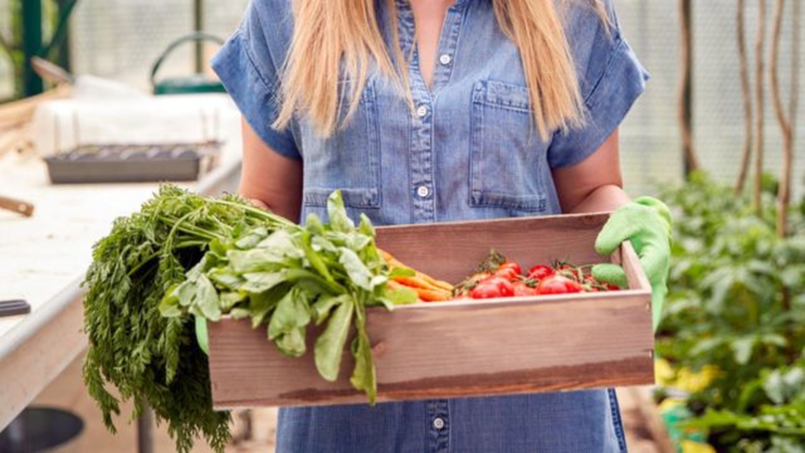 caja de vino como bandeja huerta caja de vino como bandeja huerta