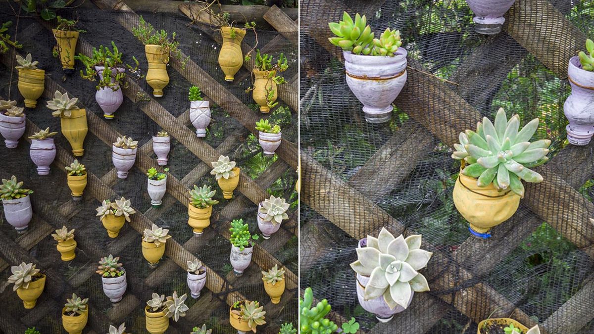 Botellas de plástico formando un jardín vertical