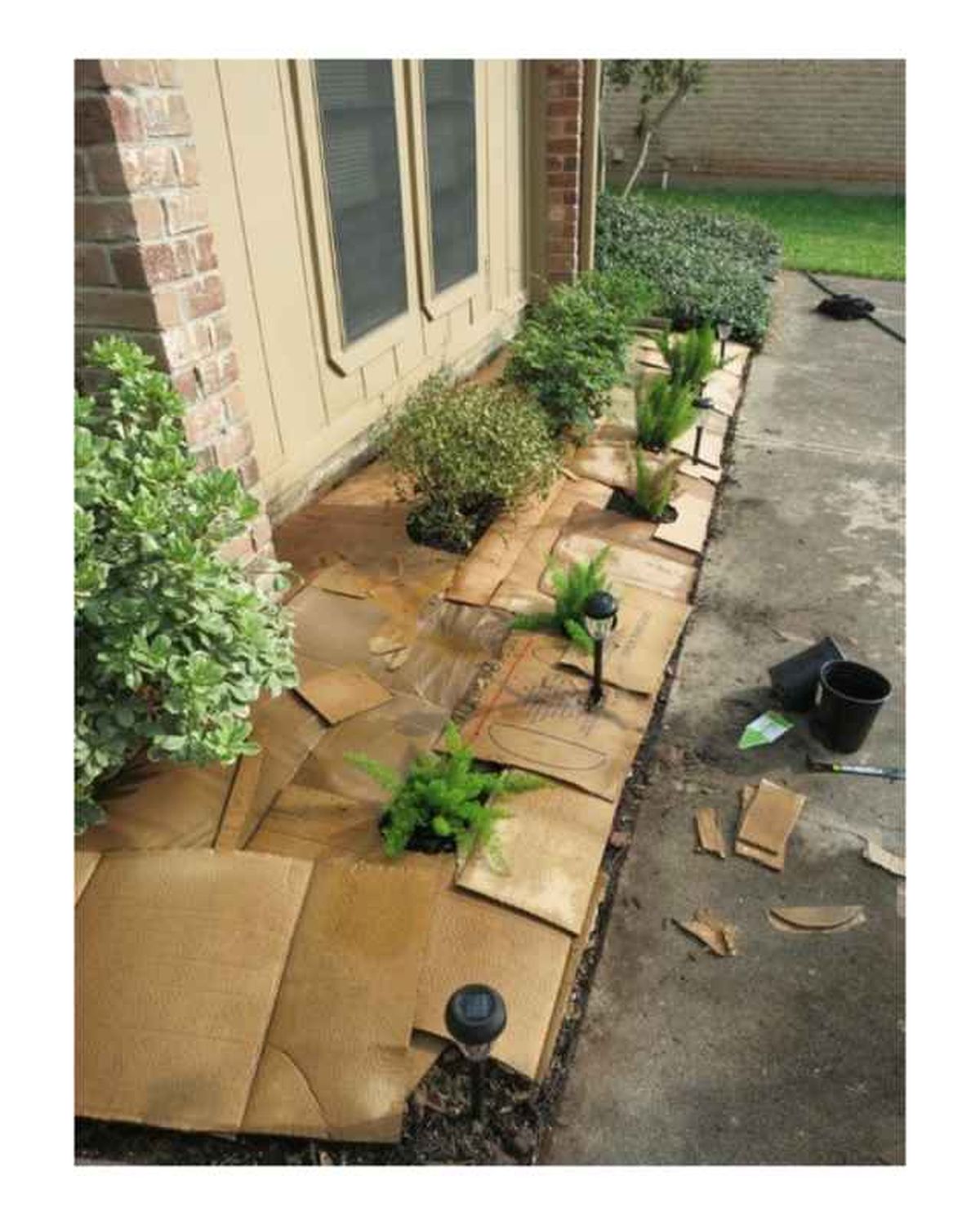 ideas reutilizar cajas carton evita malas hierbas