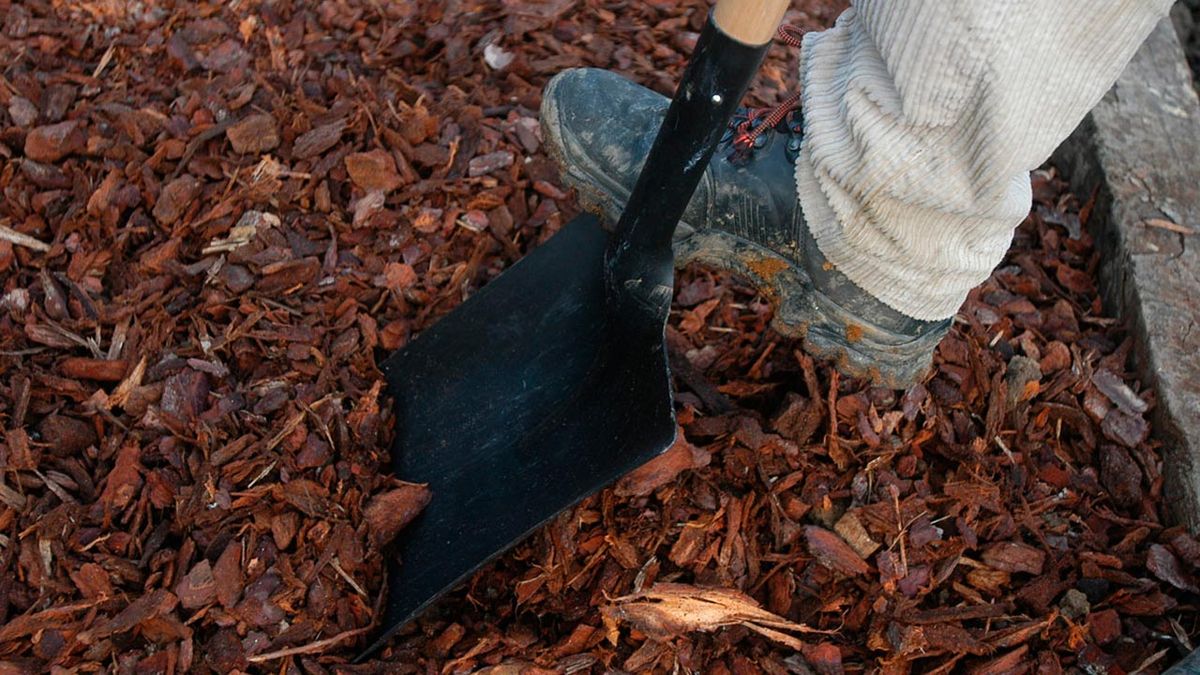 Tipos de palas paso 5