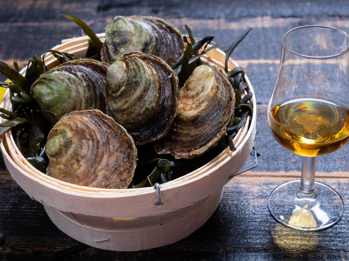 Las ostras planas se distinguen por su forma redondeada y un perfil de sabor más marcado.