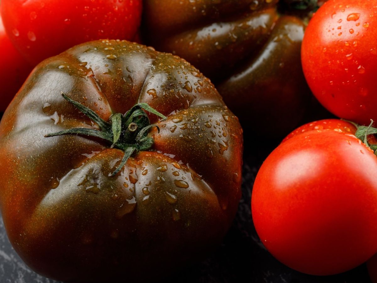 Tomates de temporada, imprescindibles en una alimentación sana y variada.