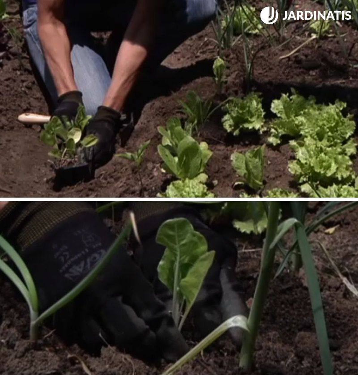 Asegúrate de dejar una distancia adecuada