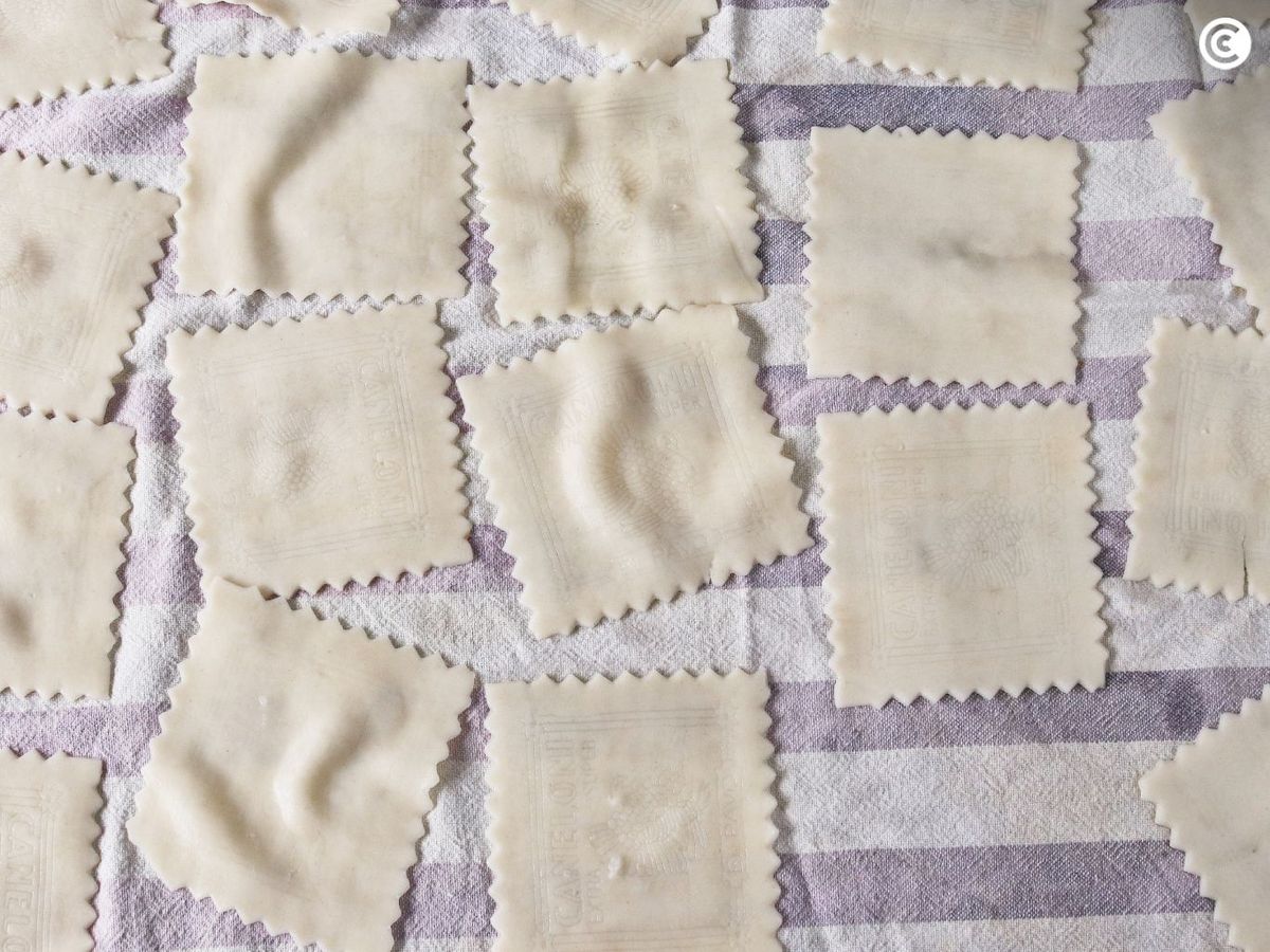 Placas de pasta cocidas para los canelones de San Esteban