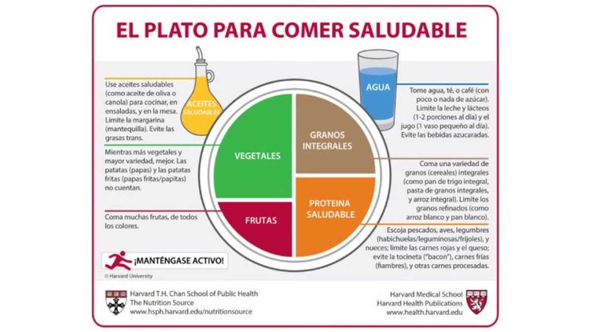 Composición de plato para comer saludable