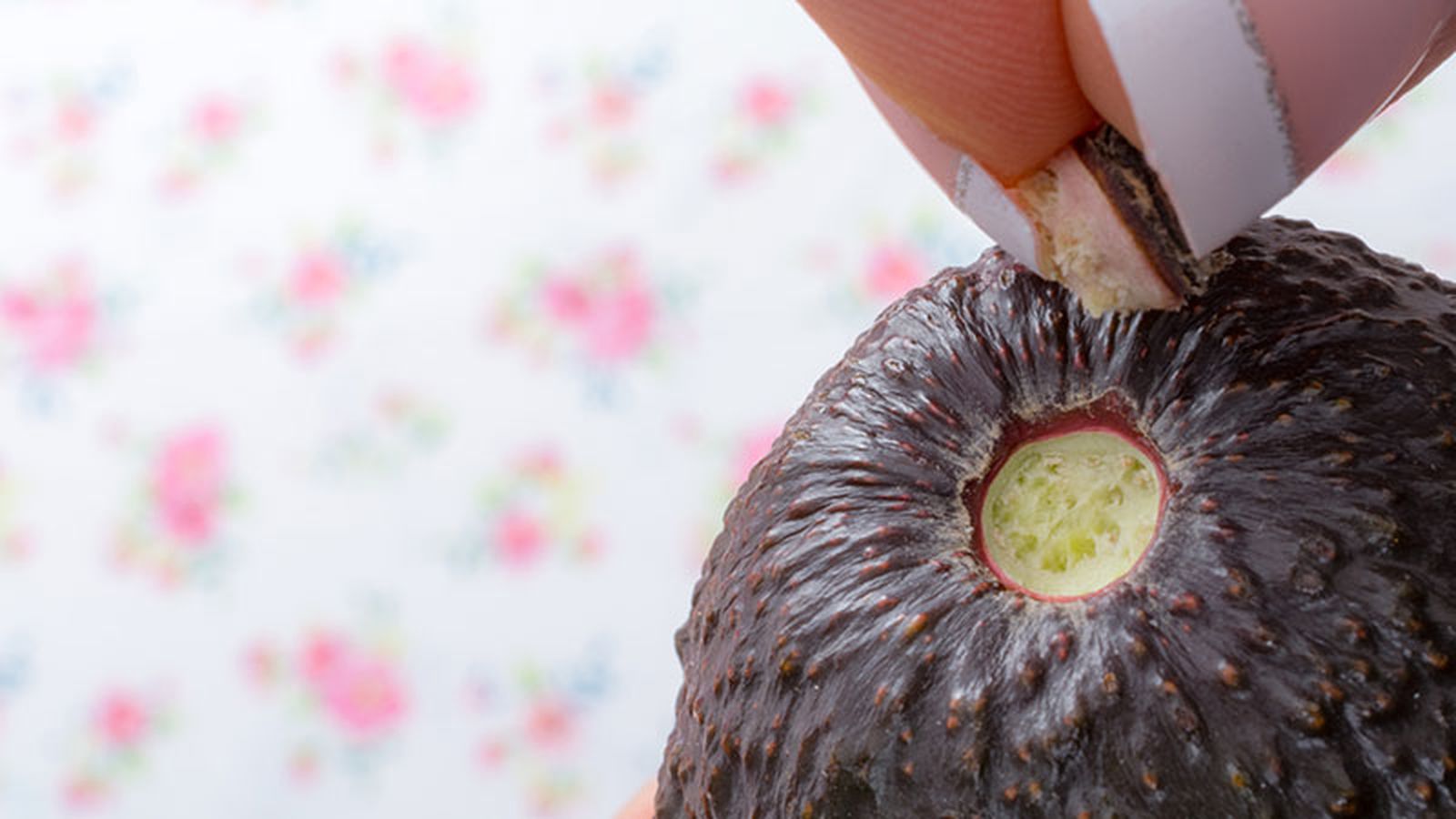 aguacate tallo