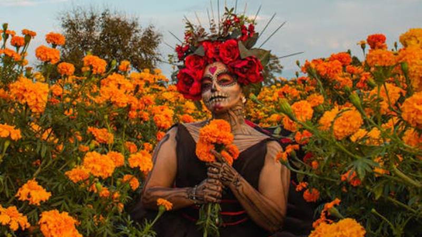 La flor que revive a los muertos.