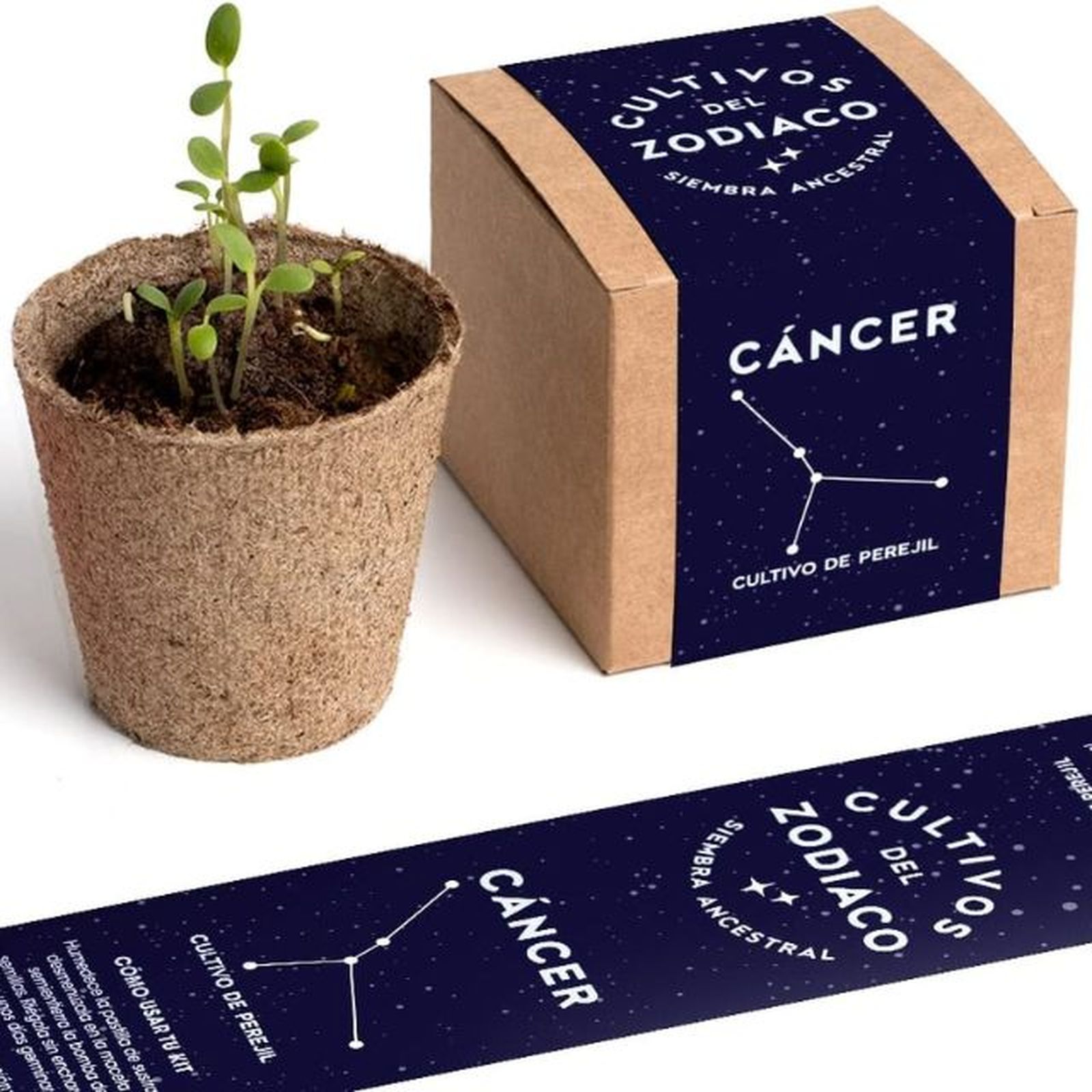 kit autocultivo cancer resetea kit autocultivo cancer resetea