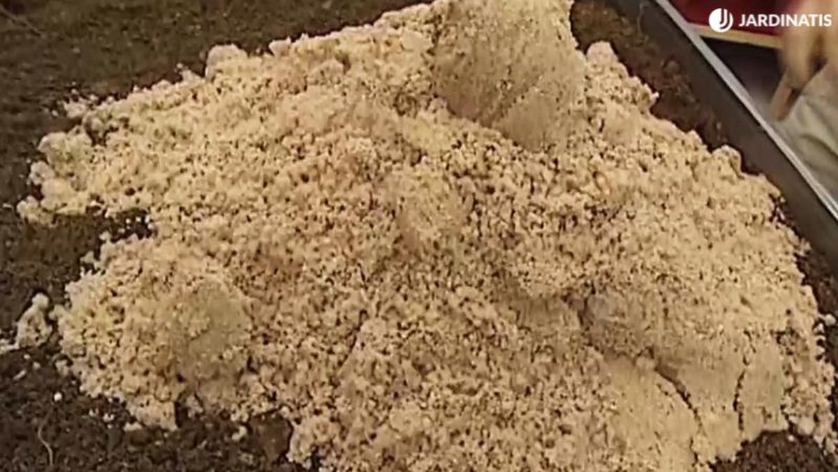 Un buen césped necesita un suelo arenoso o franco-arenoso.