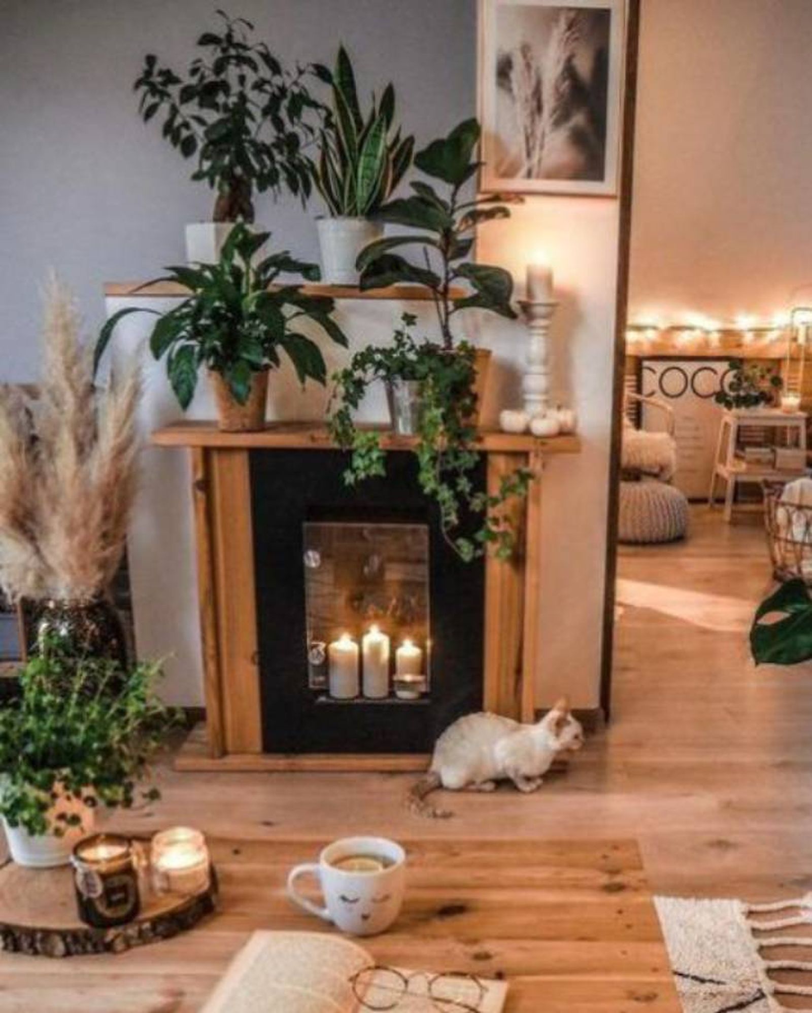 salon con chimenea urban jungle 2 salon con chimenea urban jungle 2