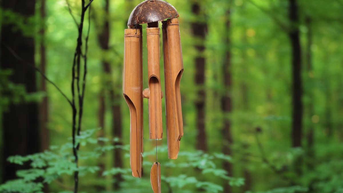 La jardinería nostálgica crea experiencias para todos tus sentidos