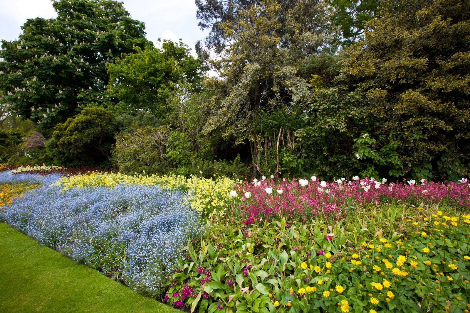 Parterre de plantas vivaces con anuales Parterre de plantas vivaces con anuales