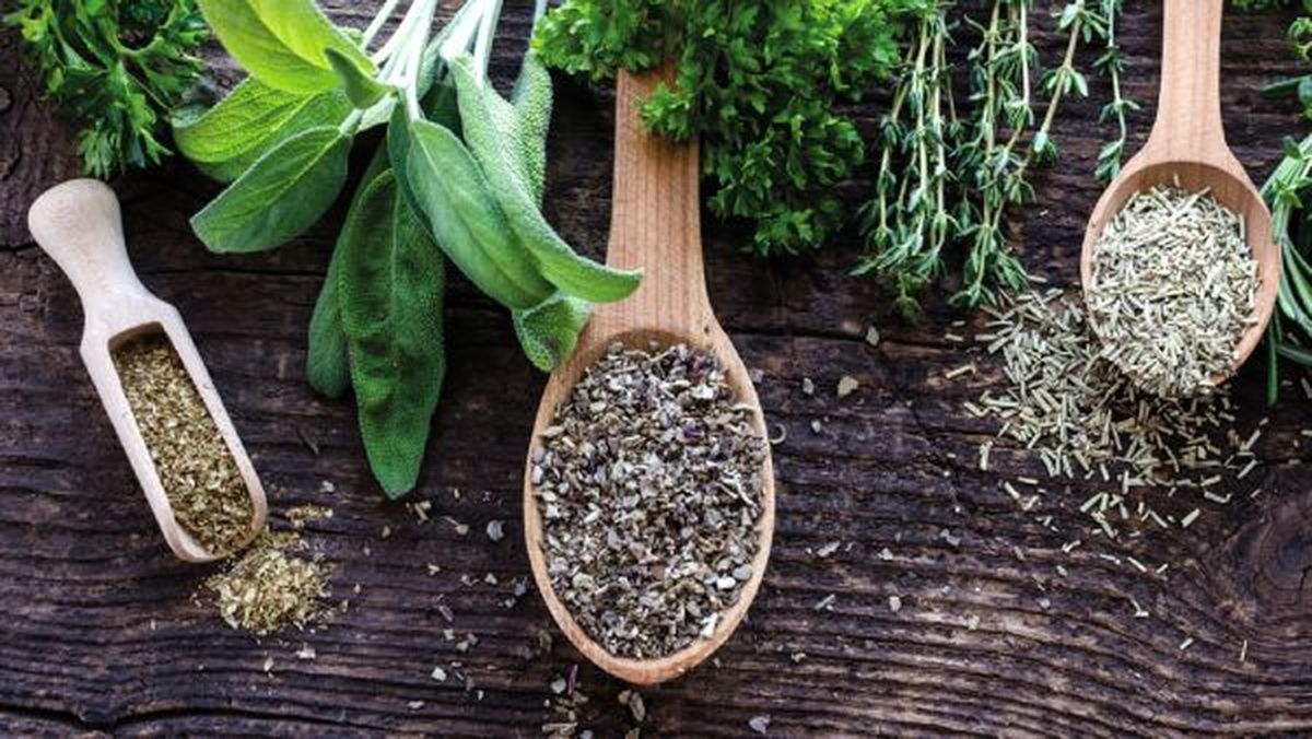 hierbas provenzales tipos