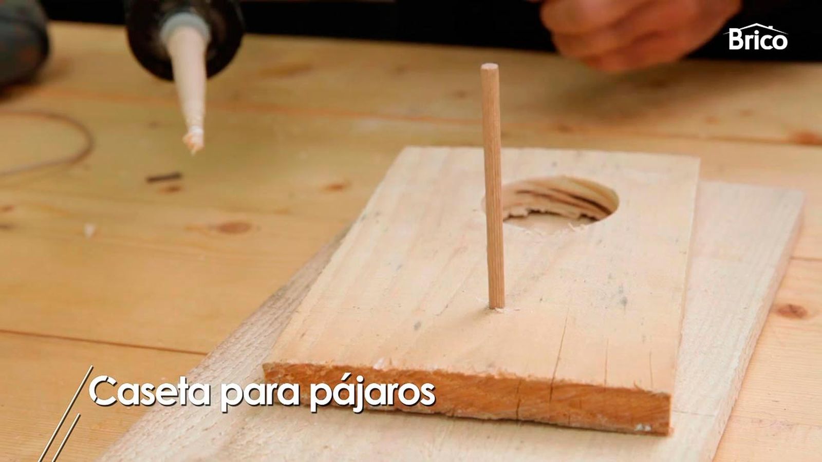 Cómo hacer una casita para pájaros paso 5 Cómo hacer una casita para pájaros paso 5