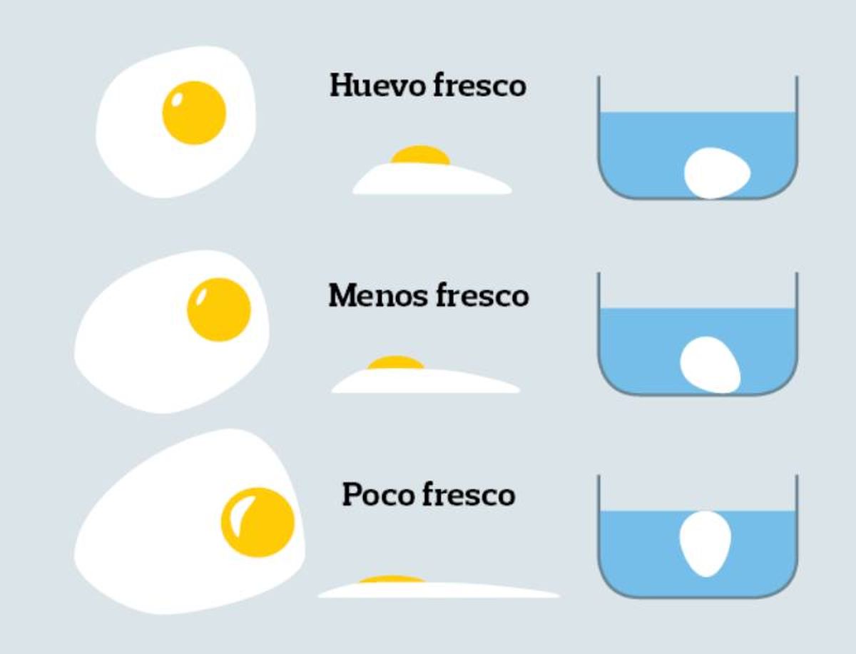 La prueba del agua que indica la frescura del huevo