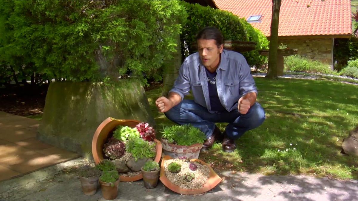 brico 795 reciclar tiestos rotos siemprevivas