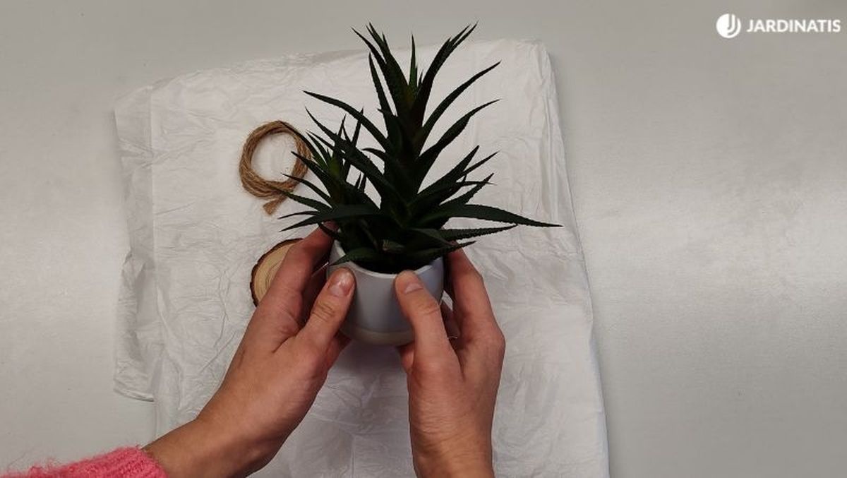 materiales para envolver una planta para regalo