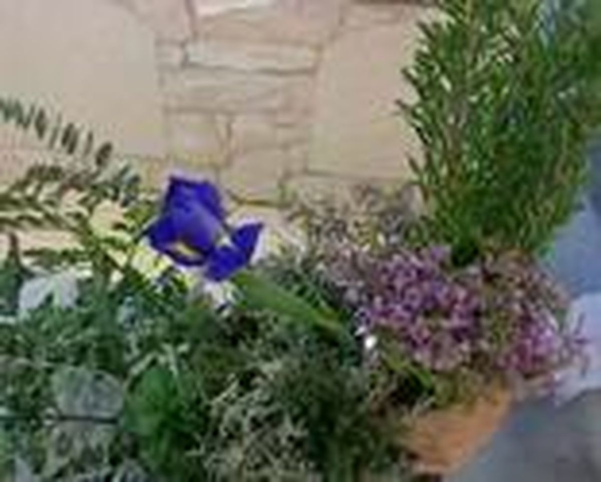 Deco arte floral 004 p6