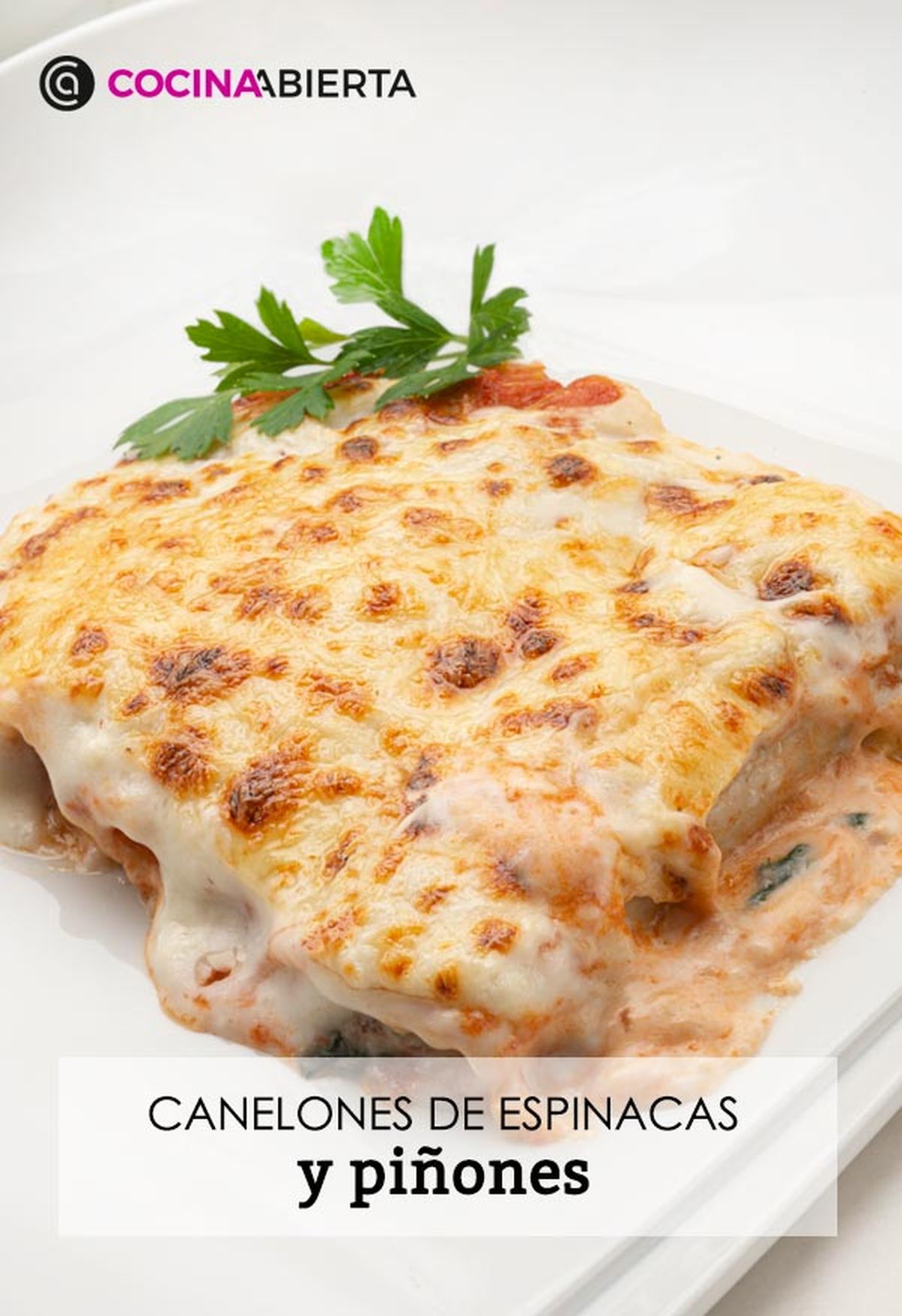 karl6644 canelones espinacas v