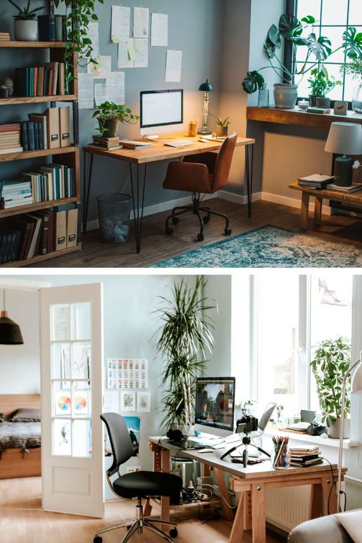 oficina en casa minimalista con plantas