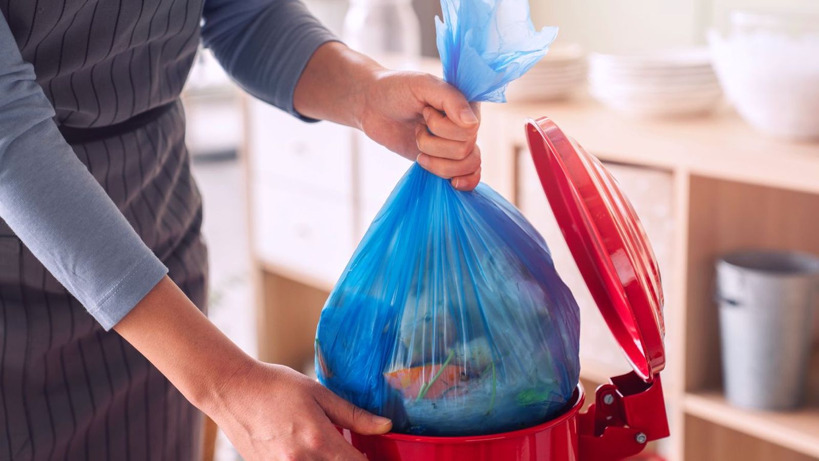Cómo eliminar el mal olor del cubo de basura Cómo eliminar el mal olor del cubo de basura