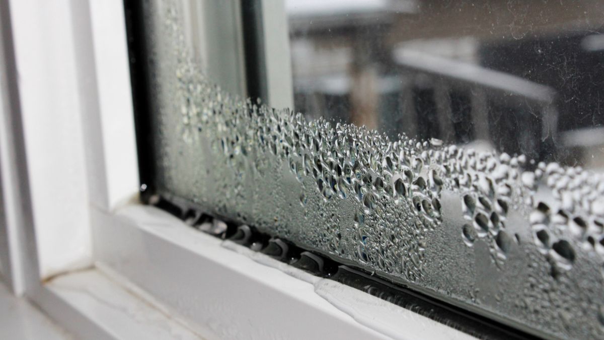 humedad en paredes 2