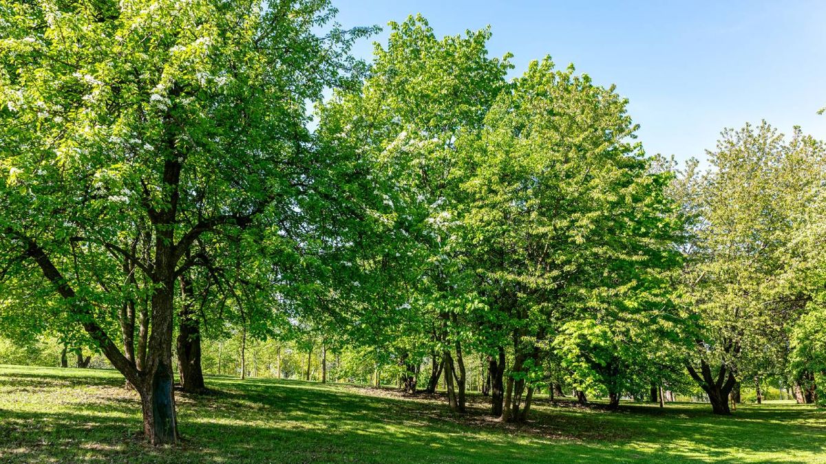 Mejora de la calidad del aire