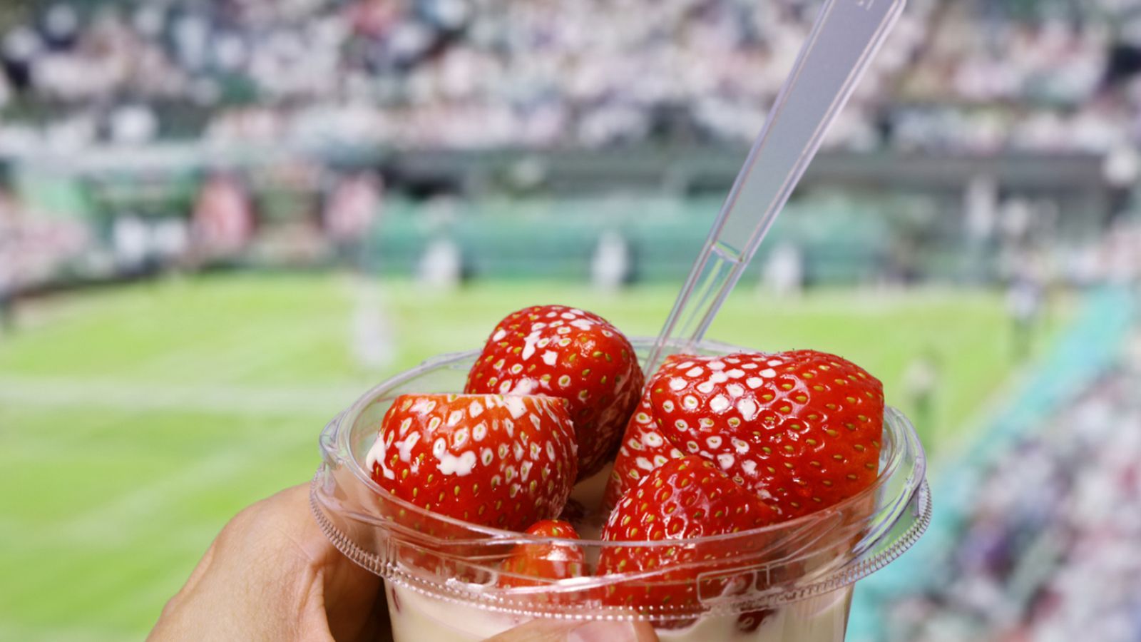 Fresas con crema, el sabor más icónico del torneo de Wimbledon.