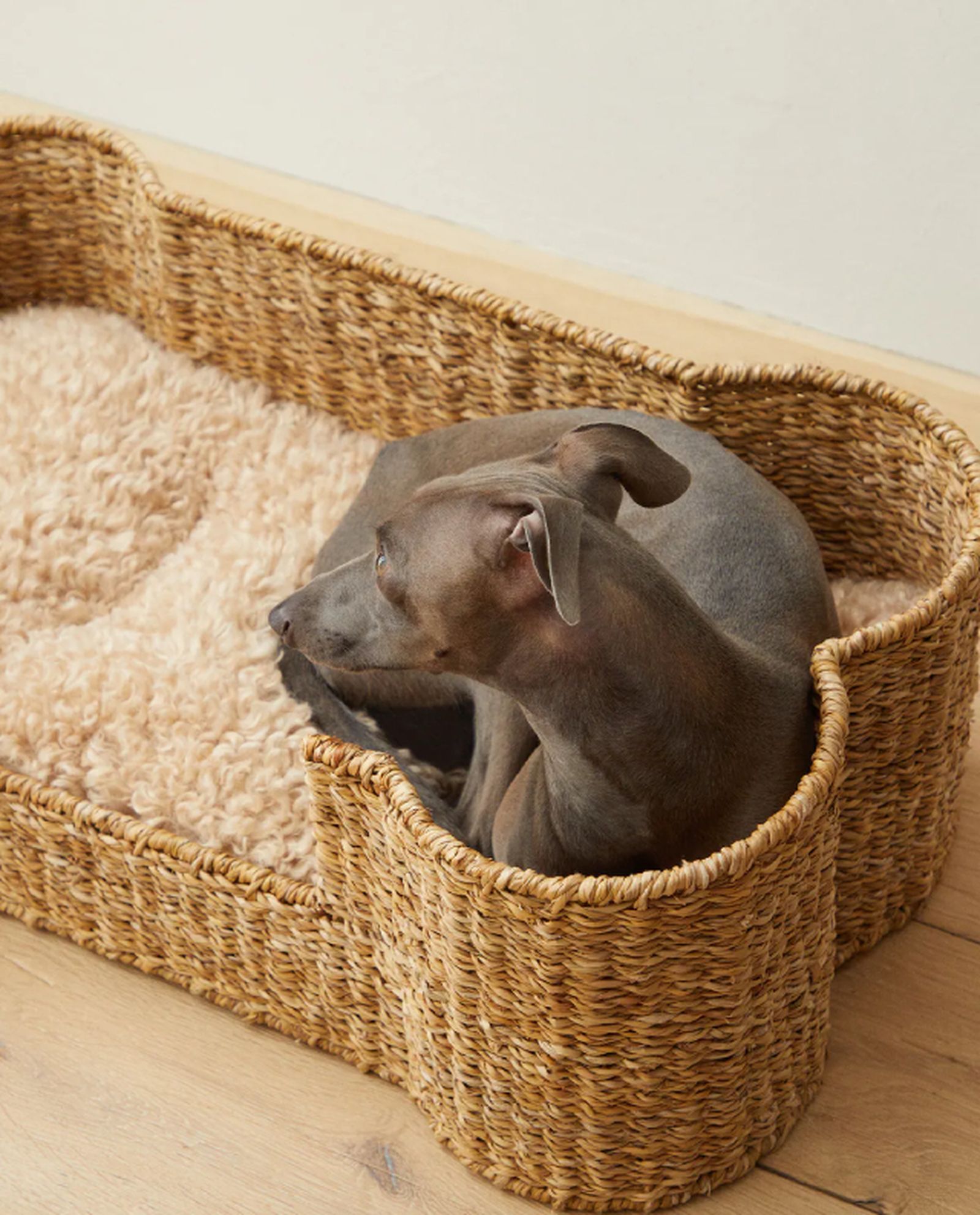cama mascota hueso cama mascota hueso