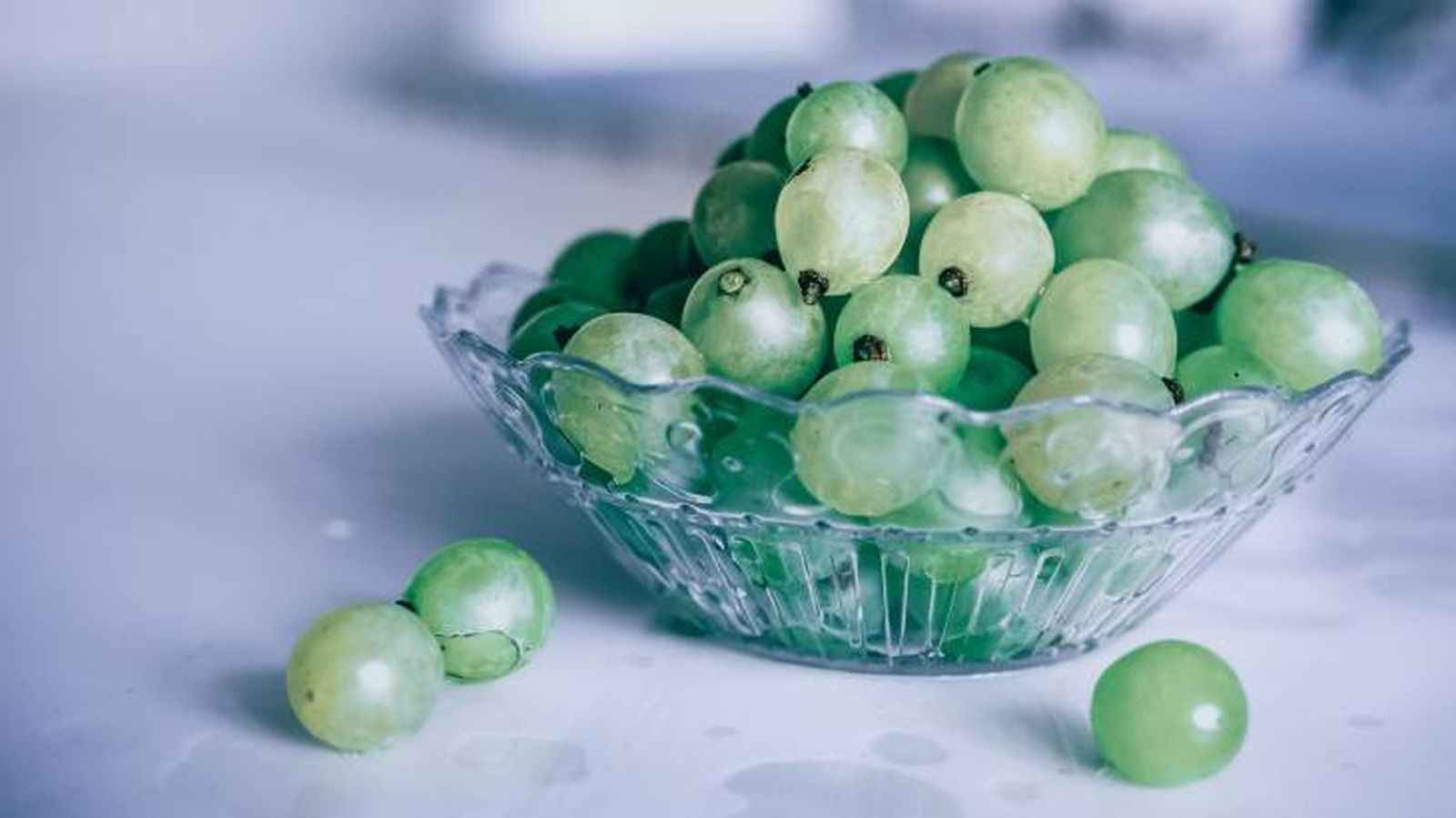 los gatos pueden comer uvas 5 los gatos pueden comer uvas 5