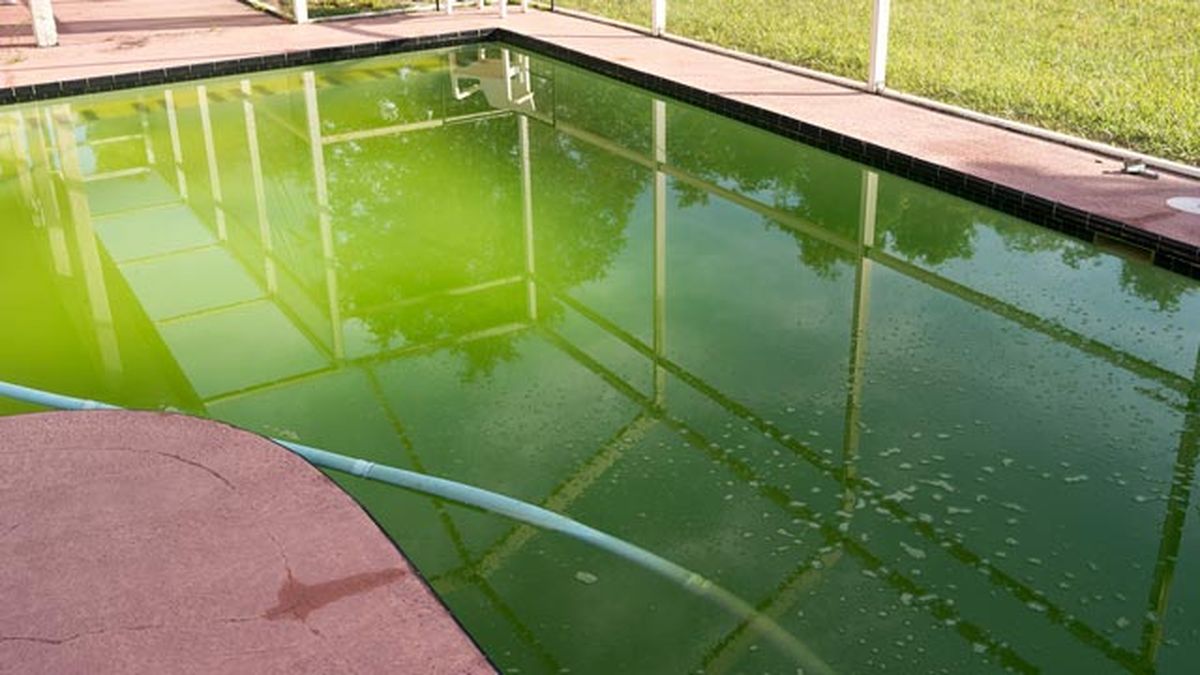 como limpiar piscina verde