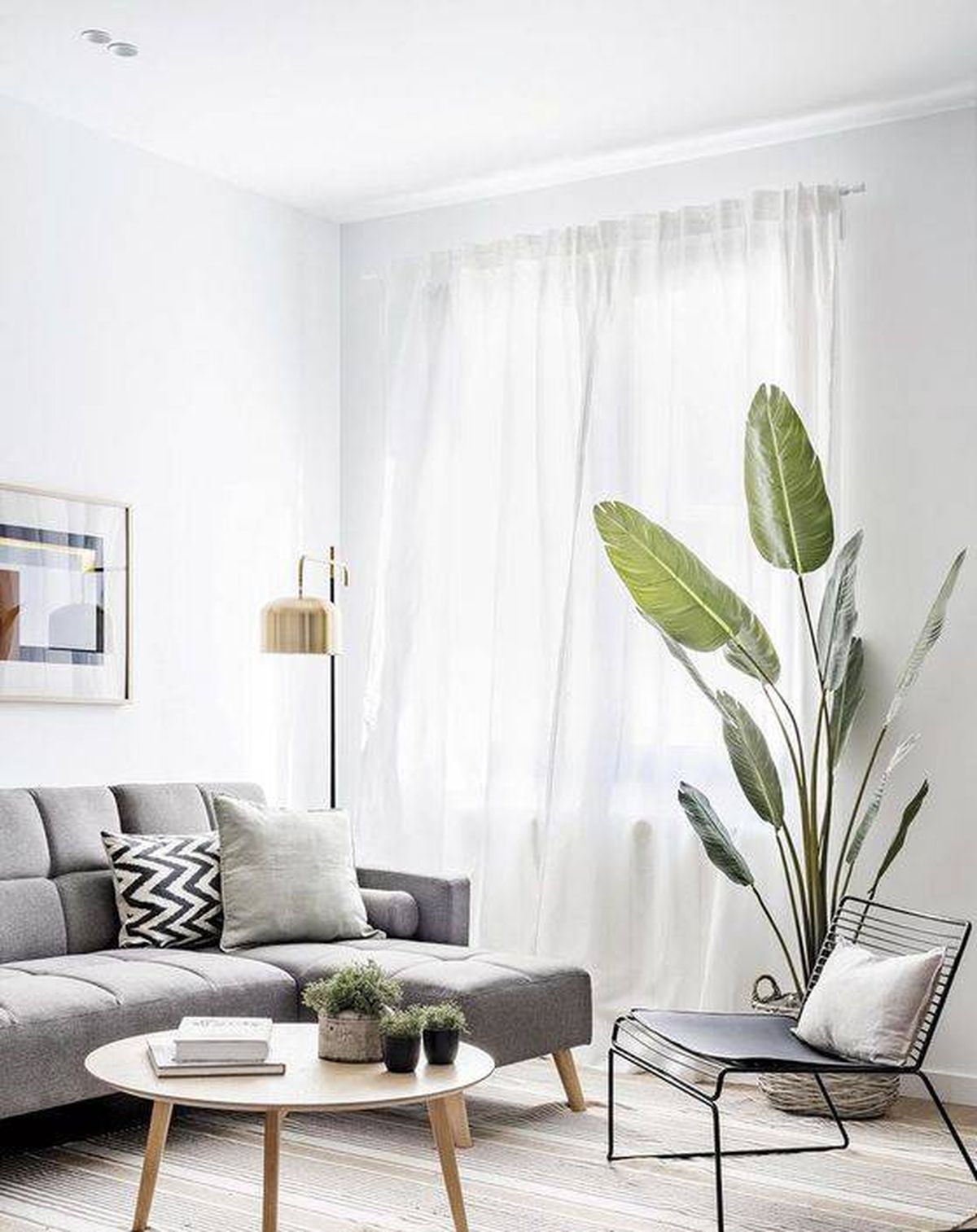 salones grises blancos plantas grandes pinterest micasa revista