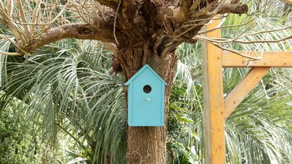 Caseta para pájaros, ideal para colgar en un árbol y dar cobijo a las aves