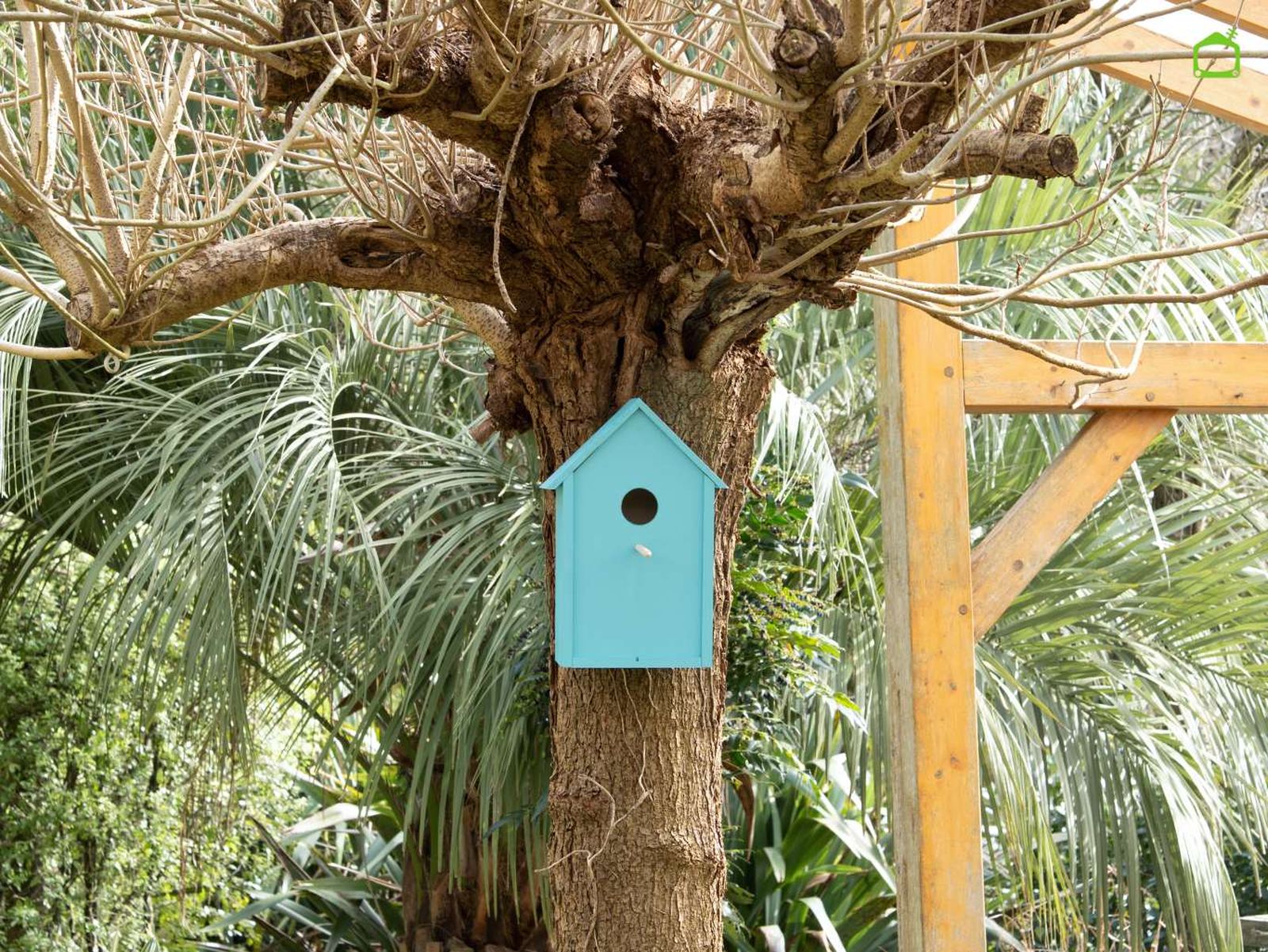 Caseta para pájaros, ideal para colgar en un árbol y dar cobijo a las aves