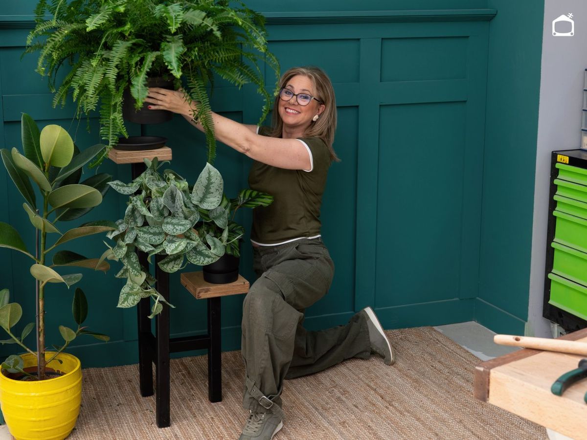 Coloca las macetas en el expositor para plantas