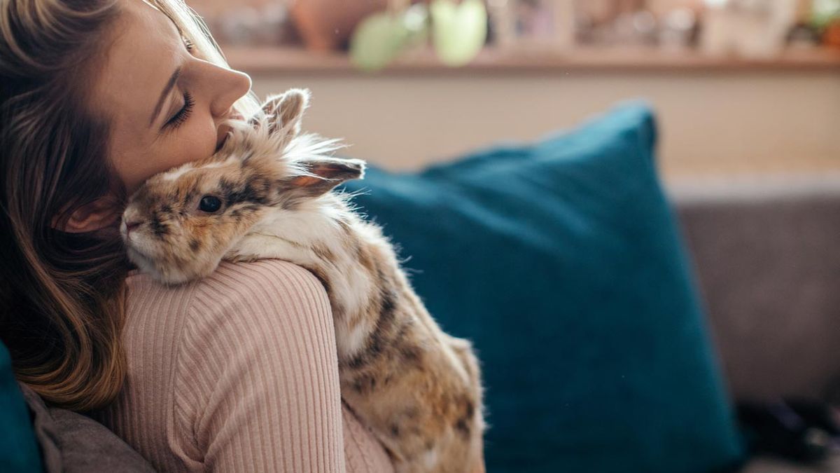 nombres para conejos