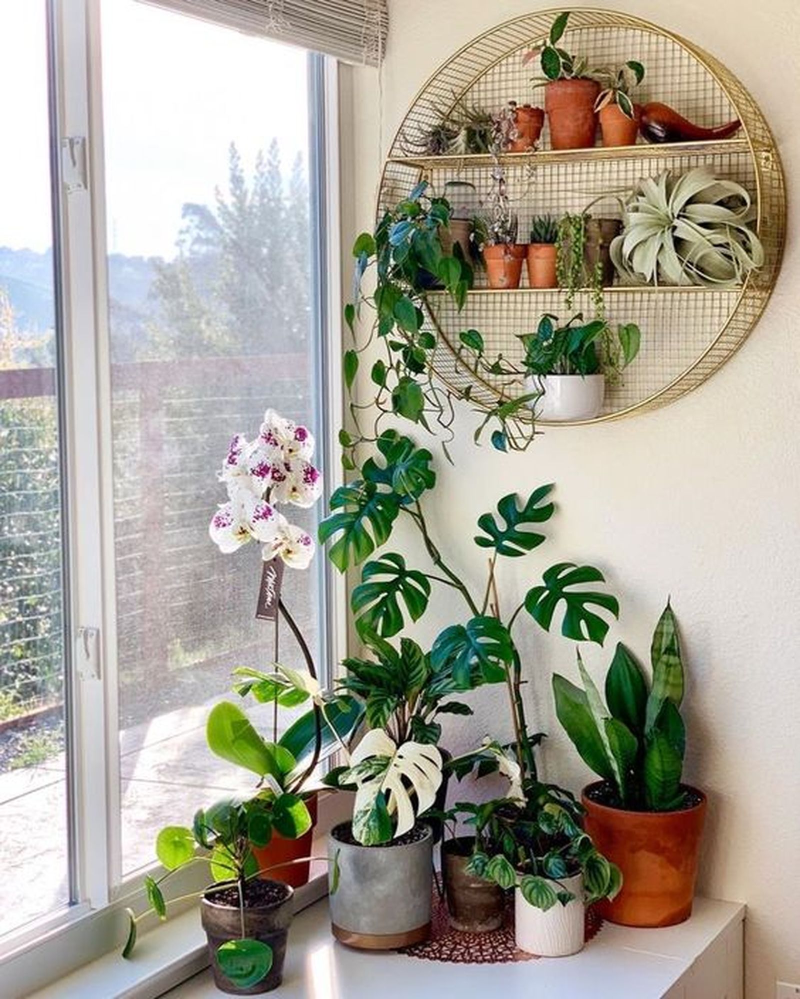 ideas decorar cuarto plantas 3