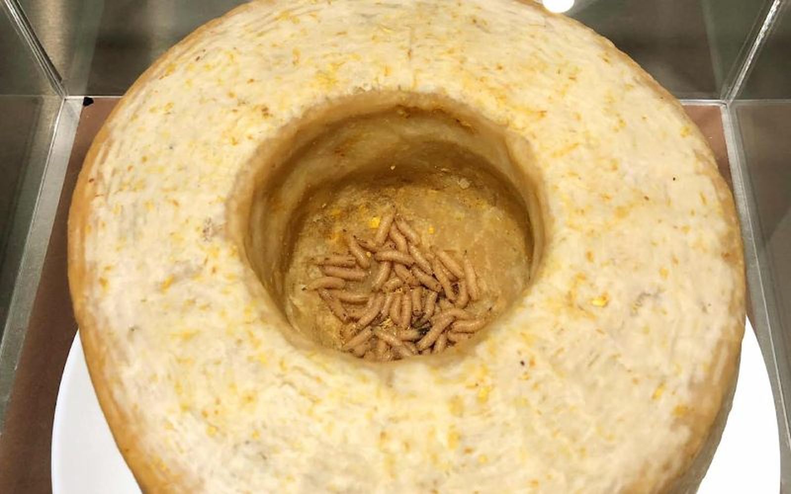 Los museos exhiben comidas repugantes de todo el mundo, como el casu marzu Los museos exhiben comidas repugantes de todo el mundo, como el casu marzu