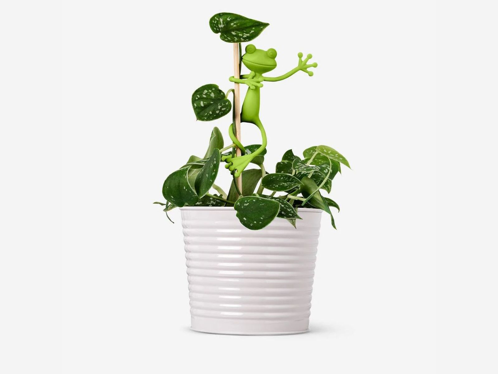 Soportes para plantas en forma de rana Soportes para plantas en forma de rana