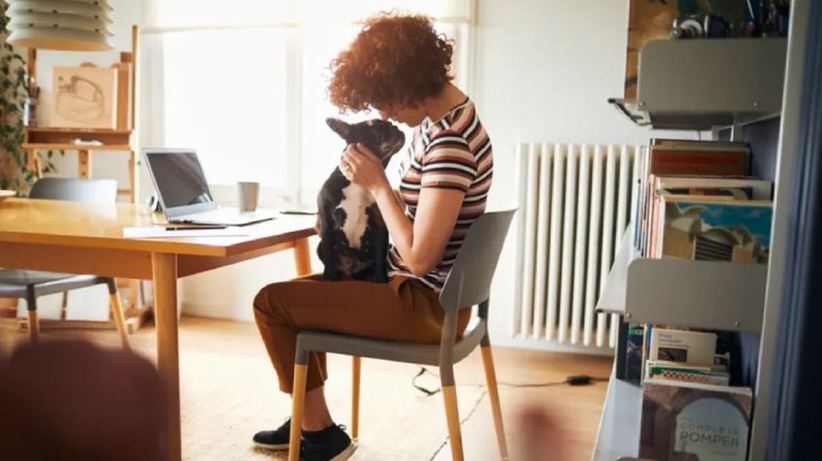 como saber si mi perro me quiere 4