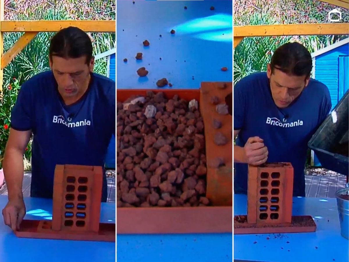 Coloca la base y rellena con sustrato.