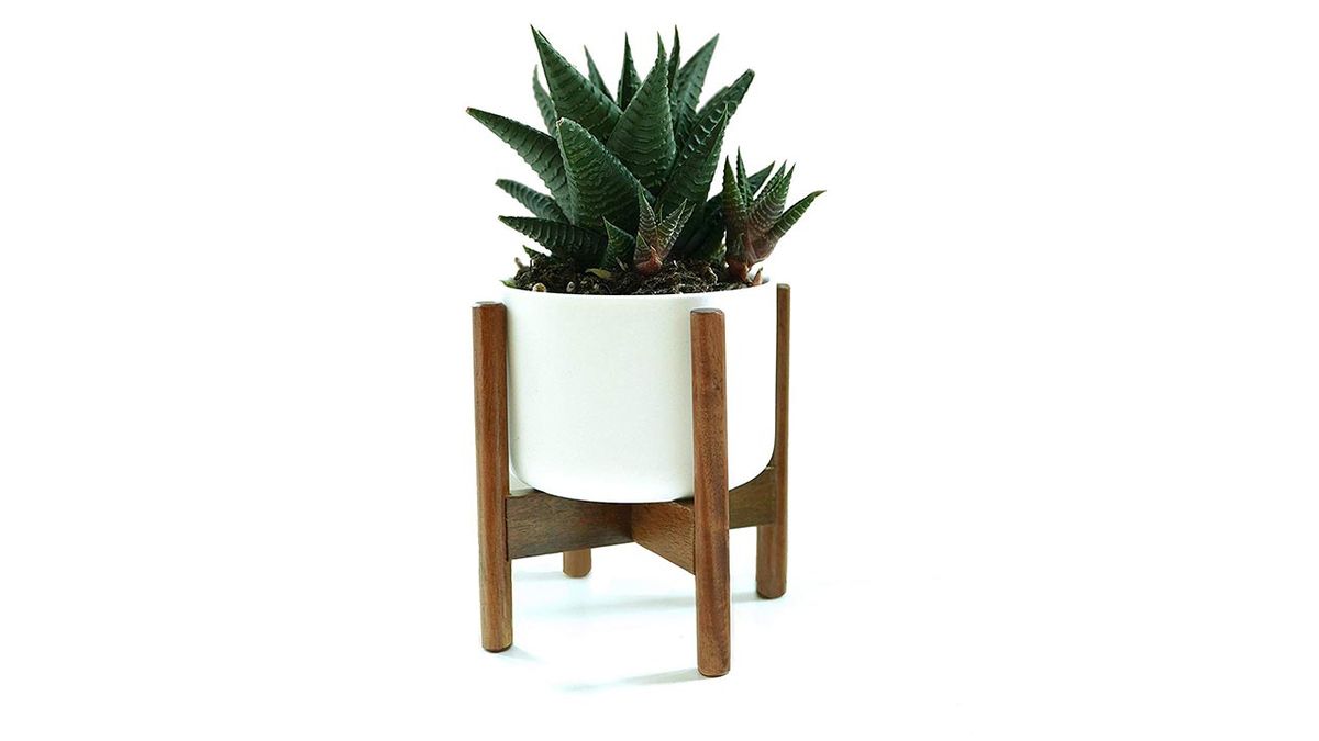 maceta ceramica soporto fox&Fern