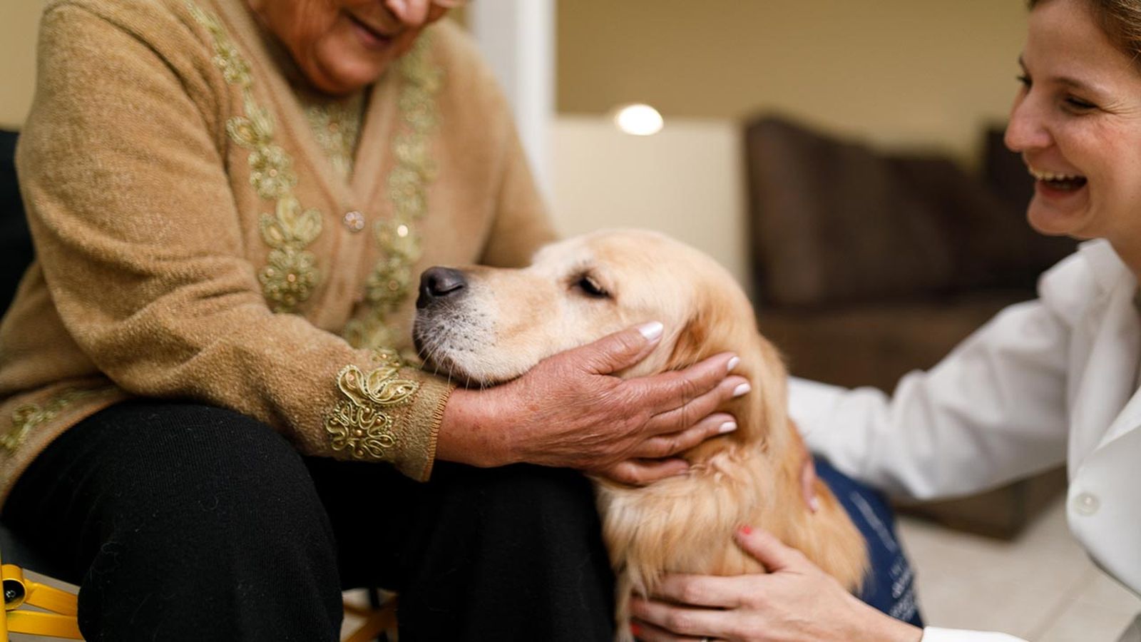 perro de terapia