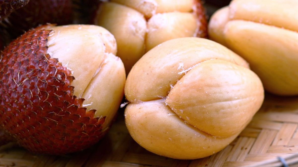 Pulpa de la fruta de serpiente