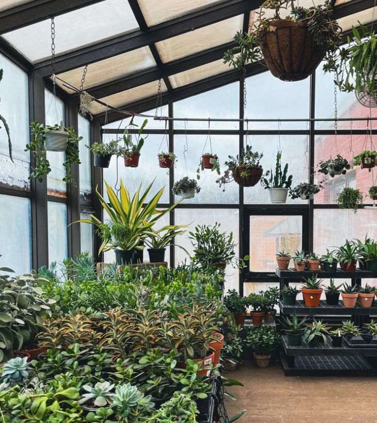 jardin de invierno invernadero