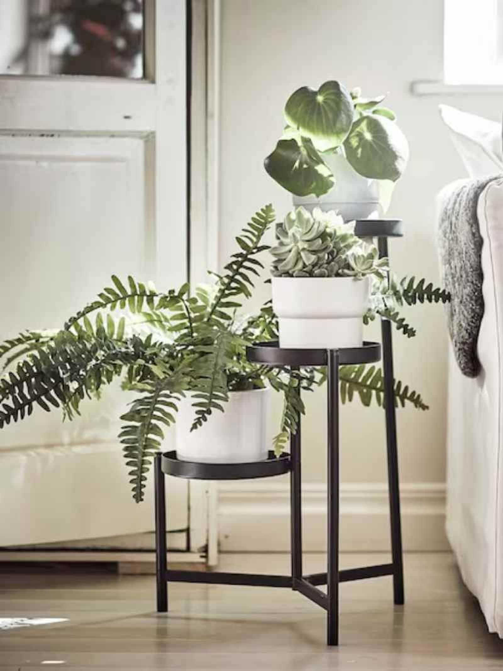 Soporte para plantas OLIVBLAD Soporte para plantas OLIVBLAD