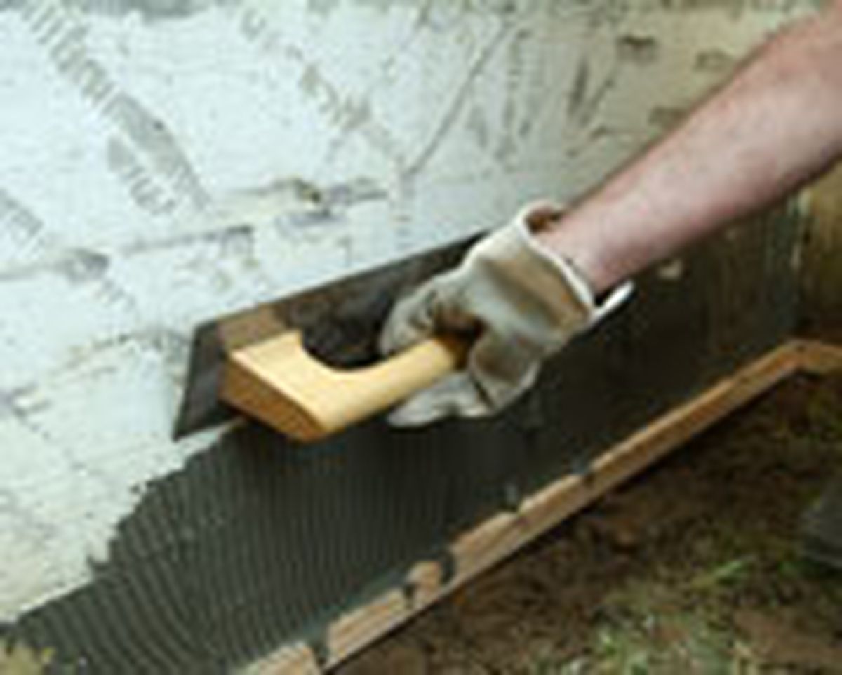 462 pied nat ext p14